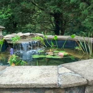 Meet your Posher, Rhonda